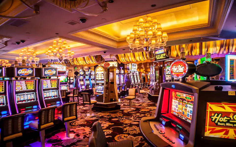 Live Casino at BunnyGaming